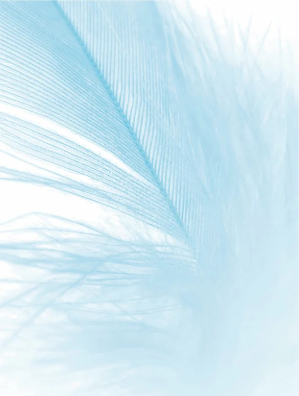 Calming Hydration Cream